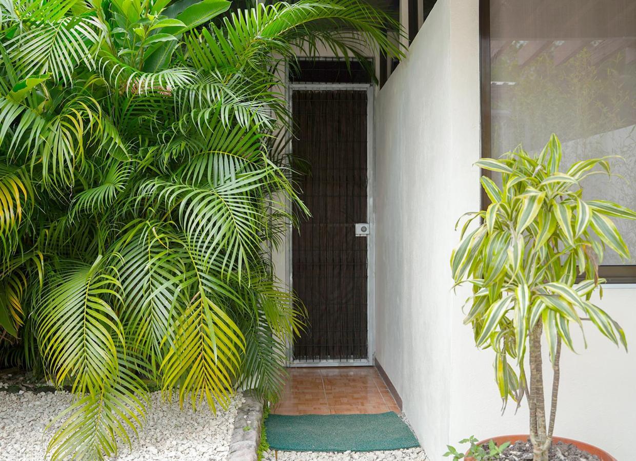 Apartamentos Y Studios Brisas Del Mar Santa Teresa Playa Santa Teresa  外观 照片