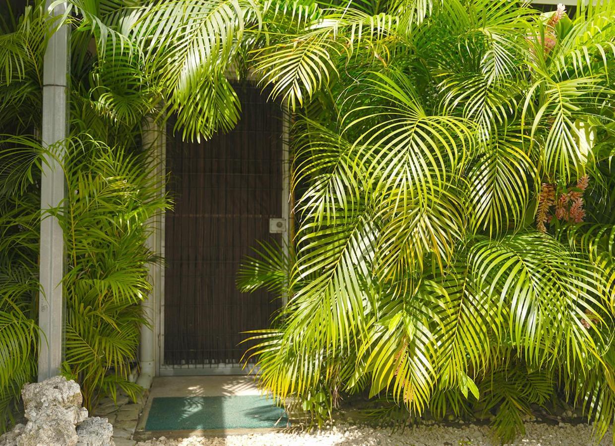 Apartamentos Y Studios Brisas Del Mar Santa Teresa Playa Santa Teresa  外观 照片